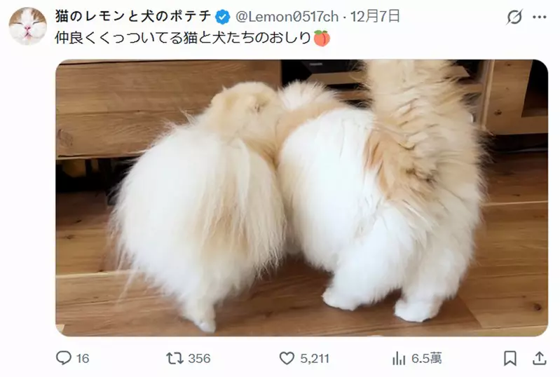 我的世界基岩版【】下载 我的世界基岩版【】下载