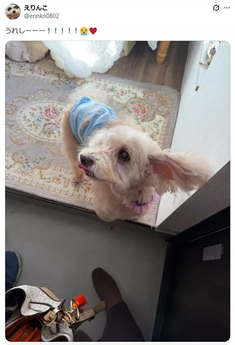 我的世界基岩版【】下载 我的世界基岩版【】下载