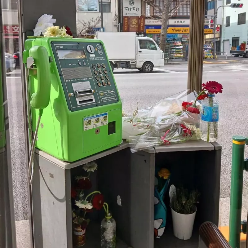 太火也是错？日本动漫《电锯人》蕾洁篇上映后电话亭彻底沦陷，献花成灾逼官方贴告示“求带走”！