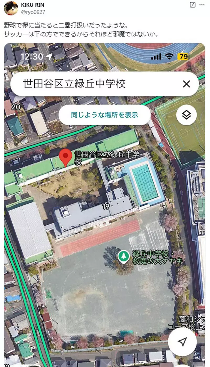 日本校园奇观!操场正中央竟长着参天大树?网友神吐槽:这足球比赛到底怎么踢啊! 日本校园奇观!操场正中央竟长着参天大树?网友神吐槽:这足球比赛到底怎么踢啊!