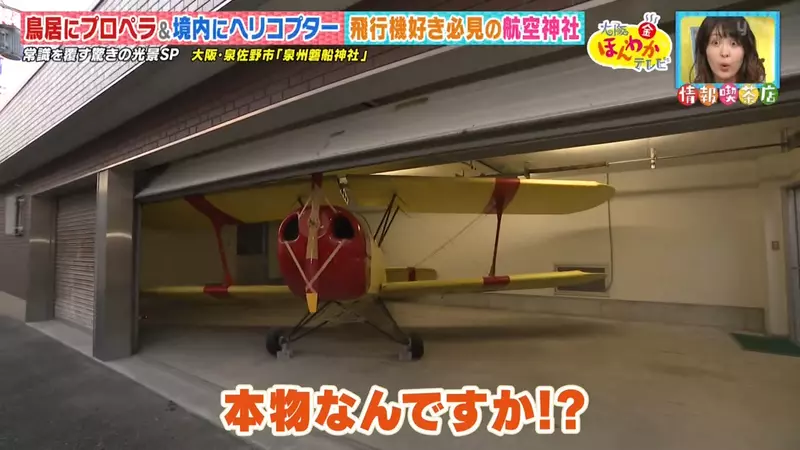 我的世界基岩版【】下载