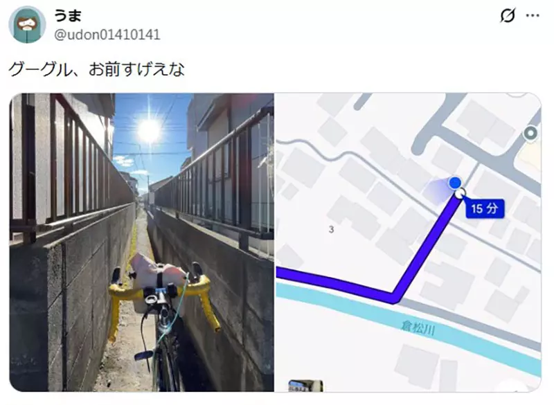 我的世界基岩版【】下载 我的世界基岩版【】下载