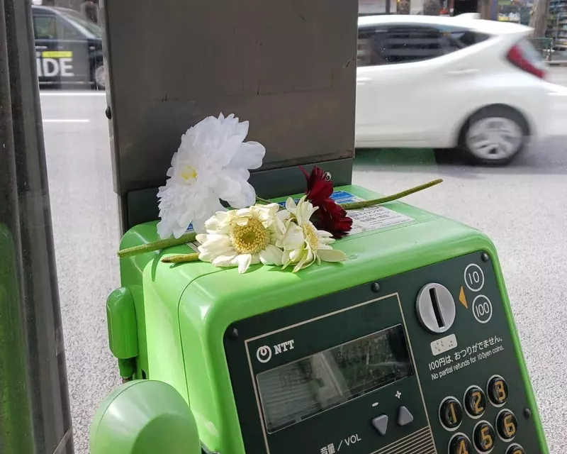 太火也是错？日本动漫《电锯人》蕾洁篇上映后电话亭彻底沦陷，献花成灾逼官方贴告示“求带走”！