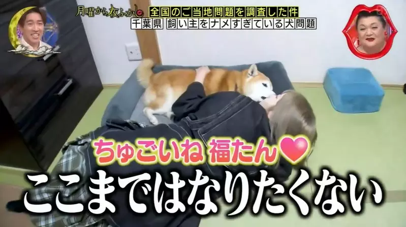 我的世界基岩版【】下载