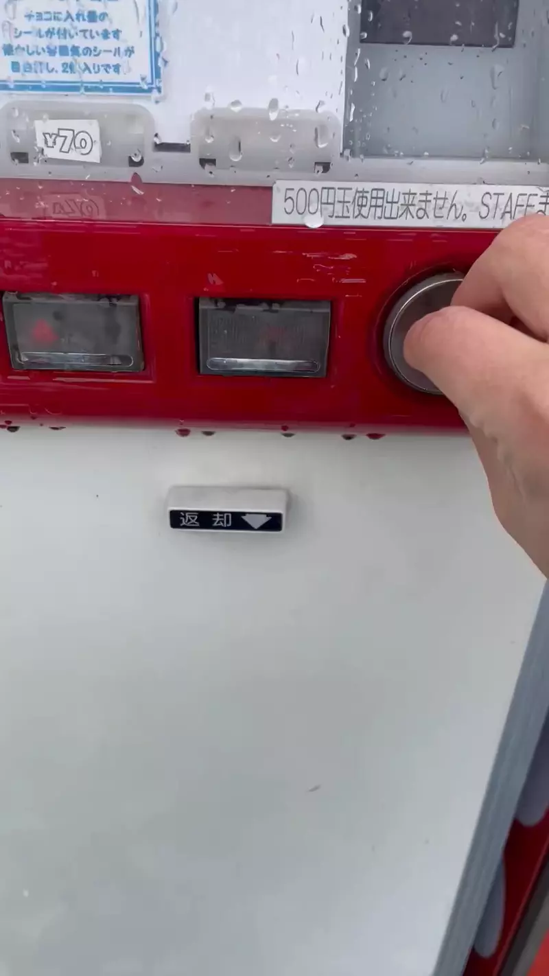 我的世界基岩版【】下载 我的世界基岩版【】下载