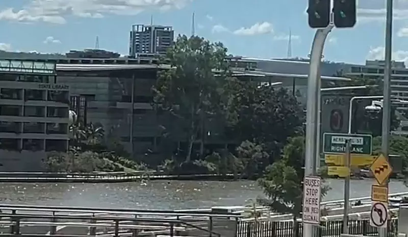 我的世界基岩版【】下载