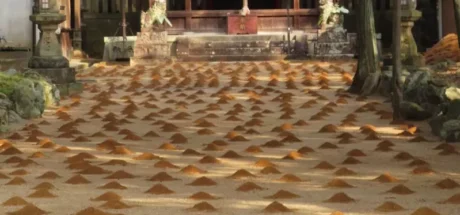 日本神社惊现神秘“鼹鼠大军”?奈良新年这个奇葩的“砂饼”仪式把网友萌翻了,真相竟然是要被人踩平! - 奇趣星球报