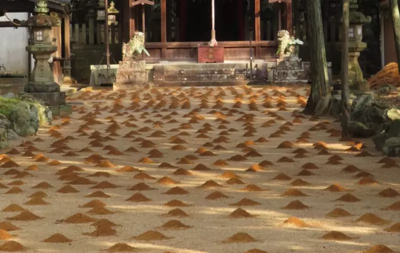 日本神社惊现神秘“鼹鼠大军”？奈良新年这个奇葩的“砂饼”仪式把网友萌翻了，真相竟然是要被人踩平！ - 奇趣星球报 - 奇趣星球报