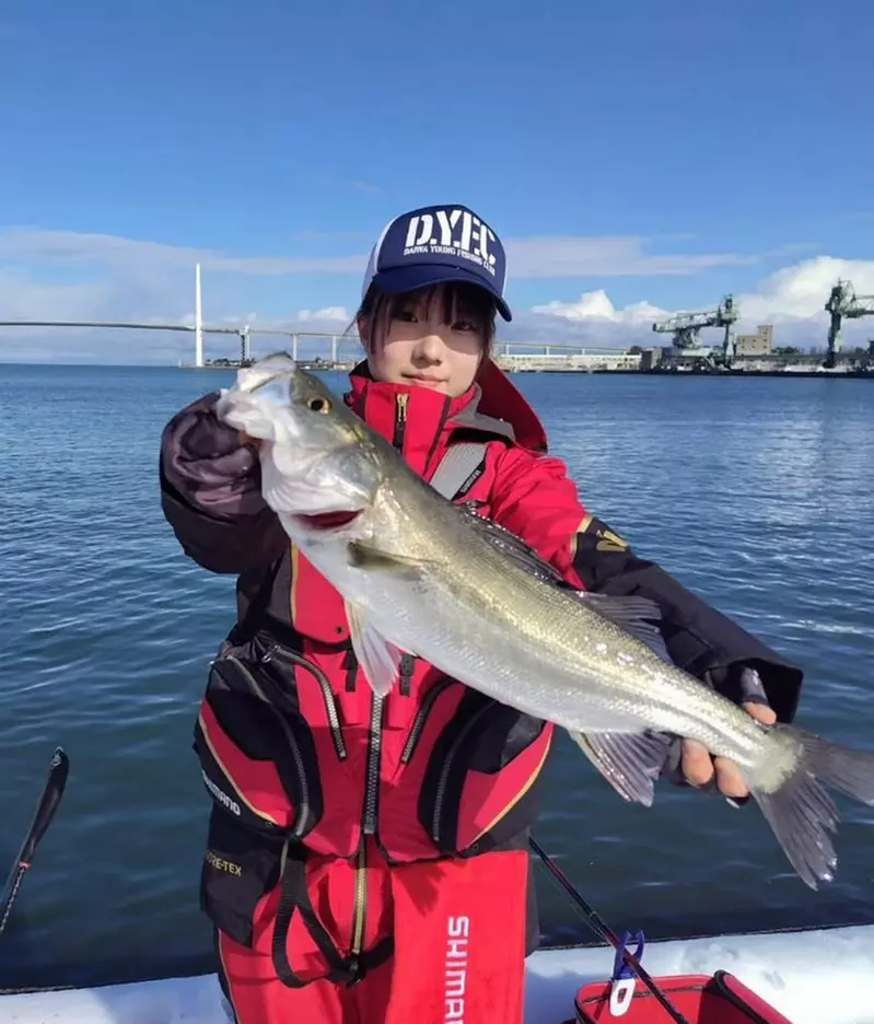 我的世界基岩版【】下载 我的世界基岩版【】下载