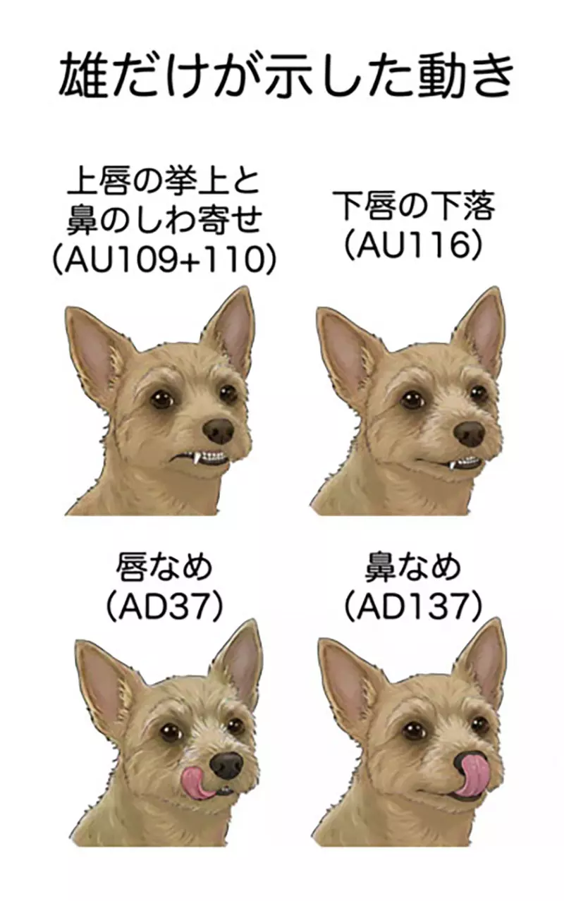 我的世界基岩版【】下载 我的世界基岩版【】下载