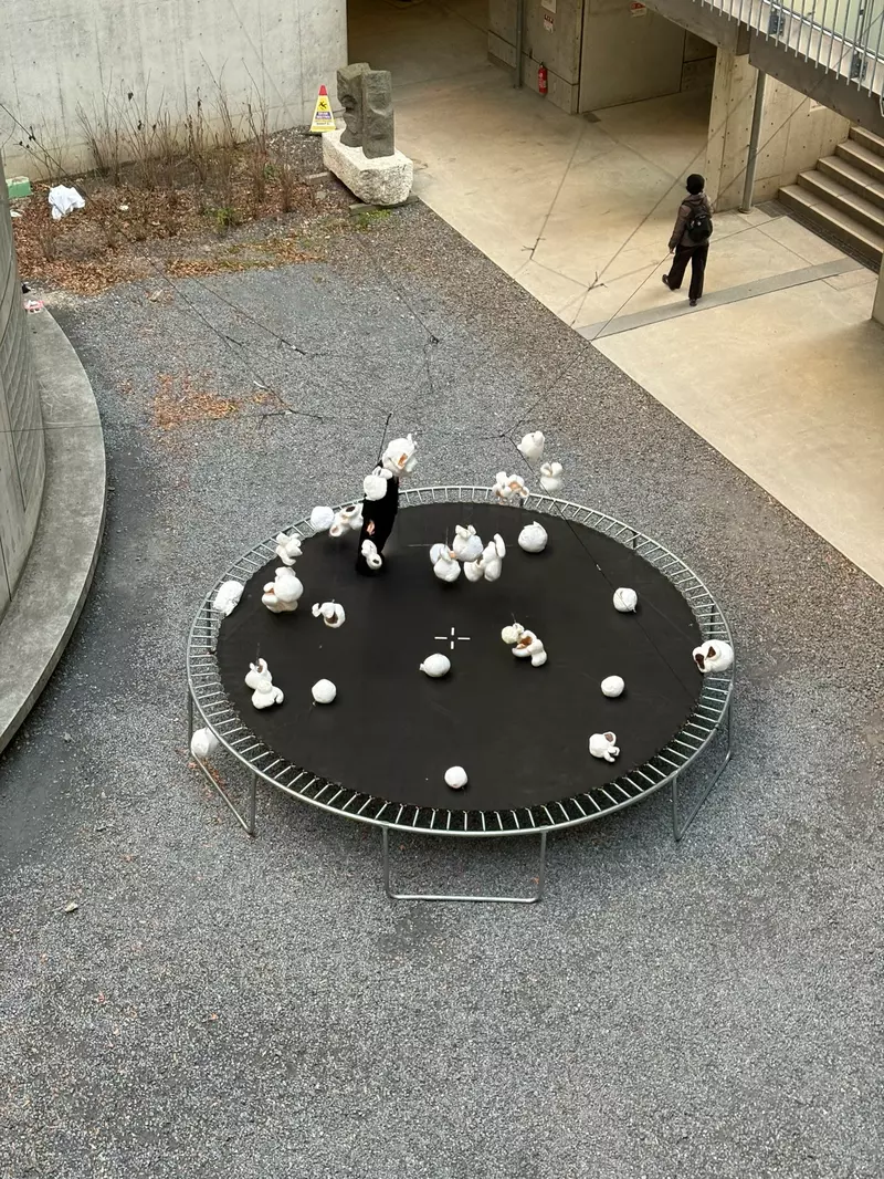 这脑洞绝了！日本大学生用弹跳床做「爆米花」，网友笑称：这就该去拿《超级变变变》满分！