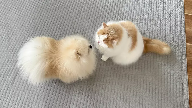 我的世界基岩版【】下载 我的世界基岩版【】下载