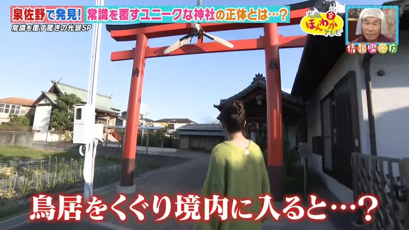 我的世界基岩版【】下载