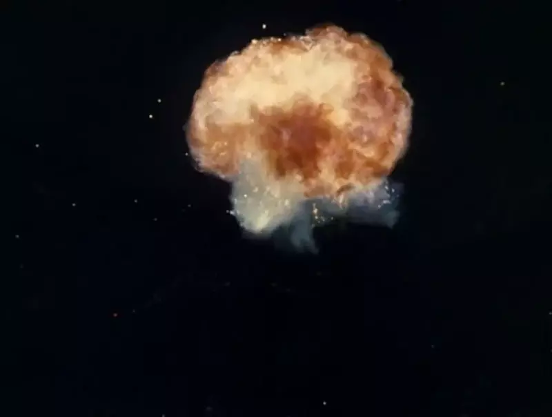 日本全网炸锅！圆谷严防死守 50 年的《赛文奥特曼》第 12 集惨遭泄露，触碰“原子弹”红线的片段究竟讲了啥？