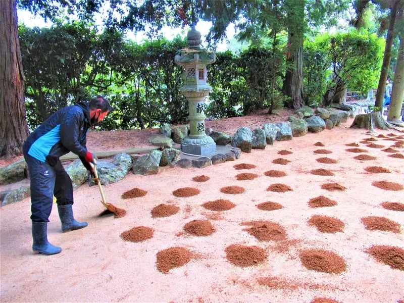 我的世界基岩版【】下载