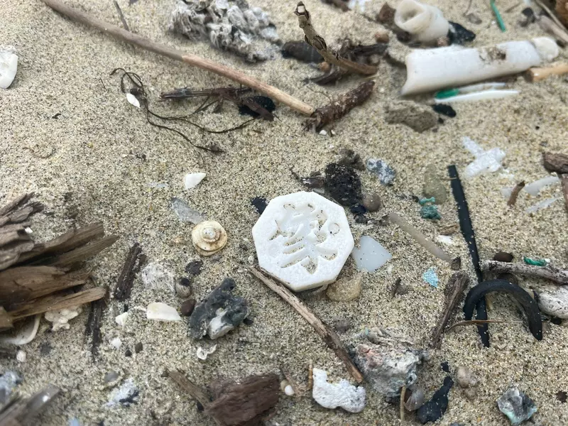 我的世界基岩版【】下载