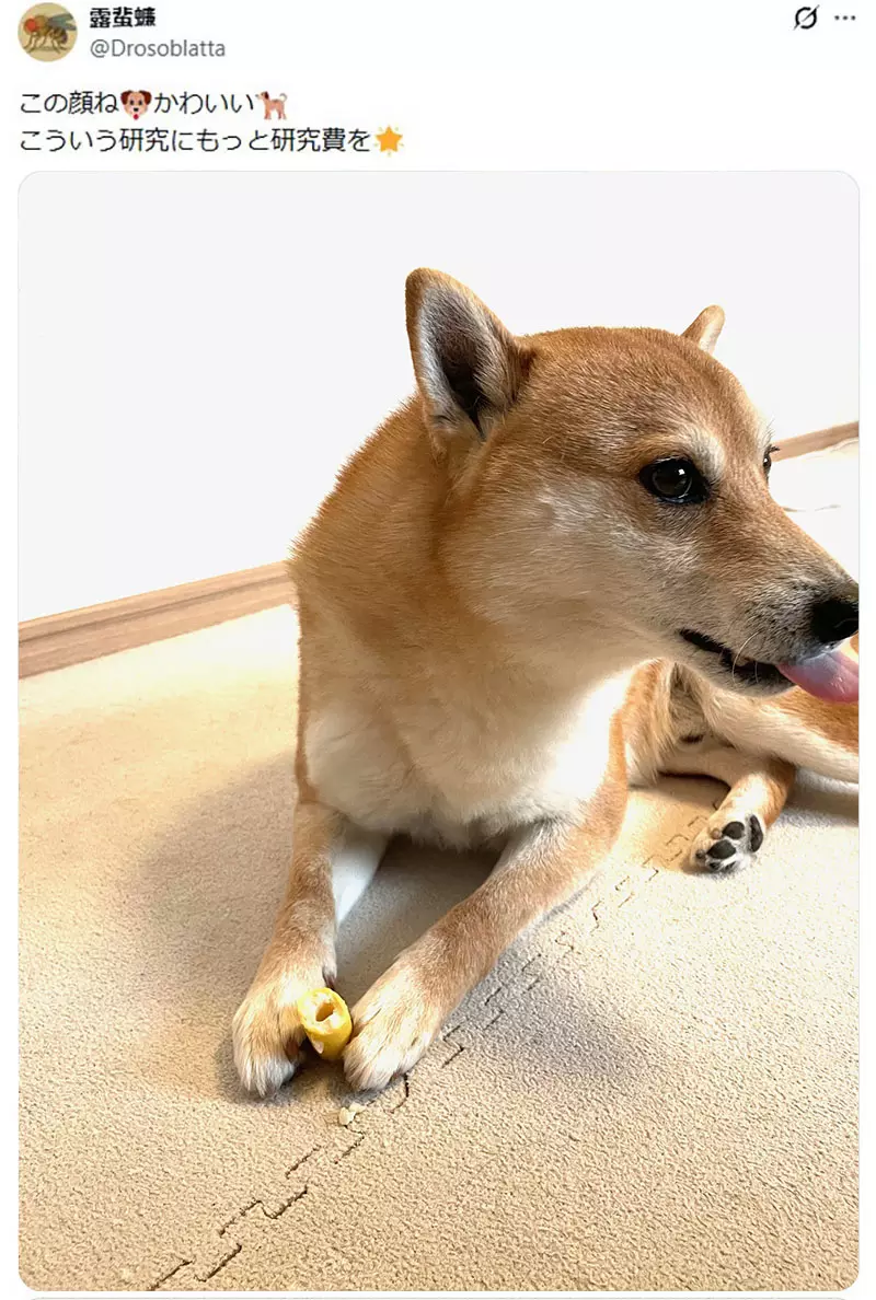 我的世界基岩版【】下载 我的世界基岩版【】下载