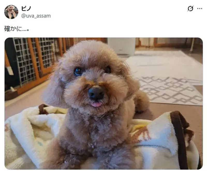 我的世界基岩版【】下载 我的世界基岩版【】下载