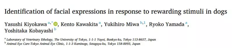 我的世界基岩版【】下载 我的世界基岩版【】下载