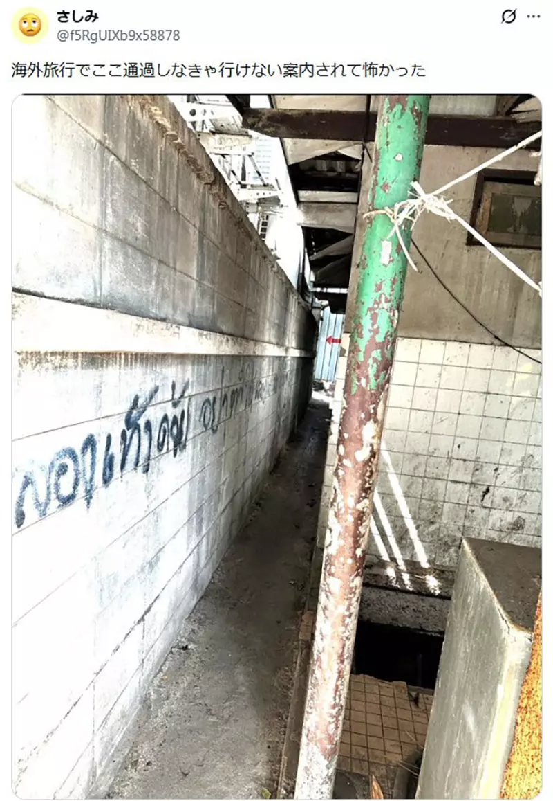 我的世界基岩版【】下载 我的世界基岩版【】下载