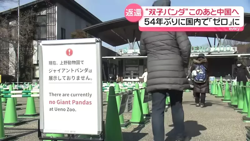外交风波波及二次元?日本时隔54年迎零熊猫时代,《咒术回战》名场面竟成绝版历史! 外交风波波及二次元?日本时隔54年迎零熊猫时代,《咒术回战》名场面竟成绝版历史!