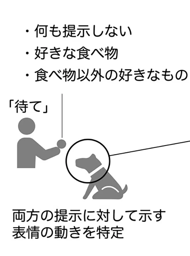 我的世界基岩版【】下载 我的世界基岩版【】下载