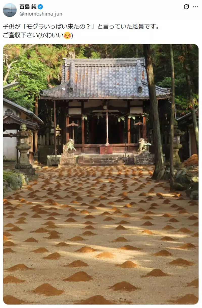 我的世界基岩版【】下载