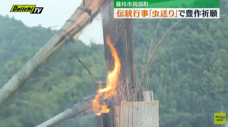 图片[5] - 日本路边偶遇“诅咒草人”吓坏路人！不用怕，这其实是守护了当地数百年的神奇“送虫仪式”！ - 奇趣星球报 - 奇趣星球报