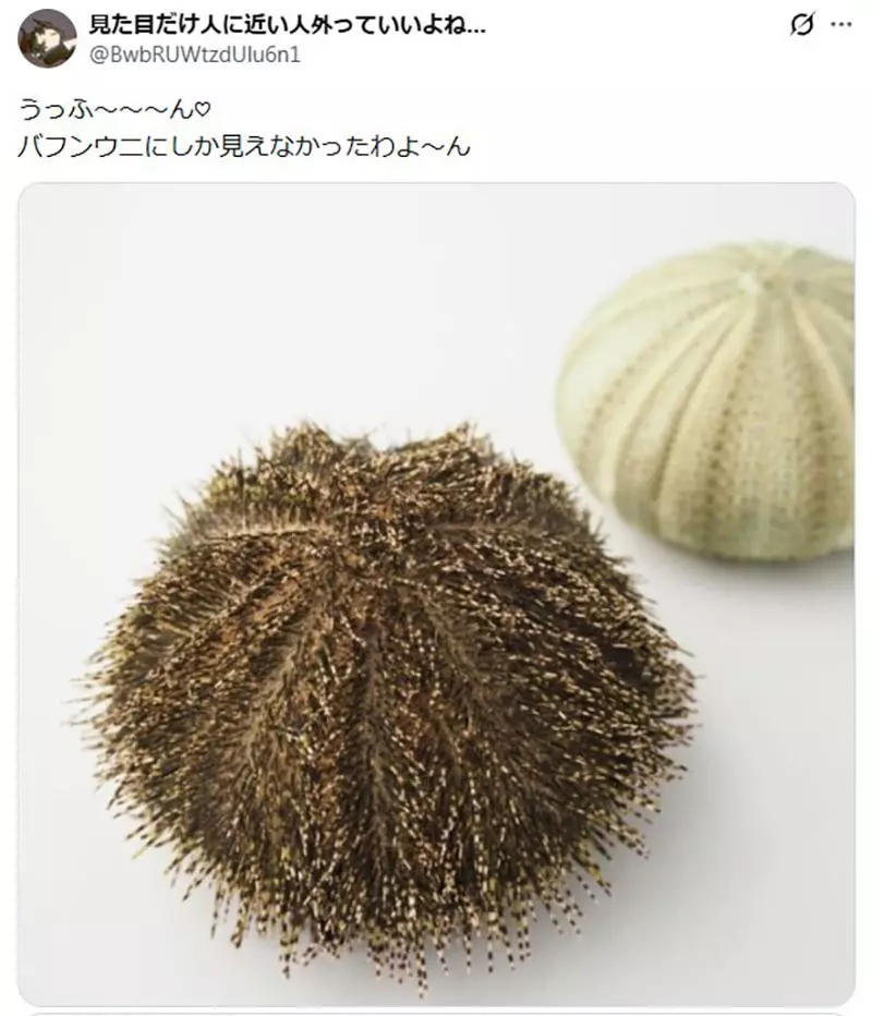 我的世界基岩版【】下载