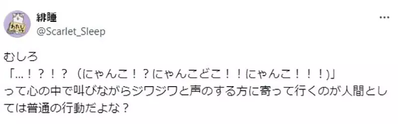 日本知名绘师吐槽“动漫隐身术太离谱”！学猫叫就能骗过守卫，其实只会引来更多铲屎官！