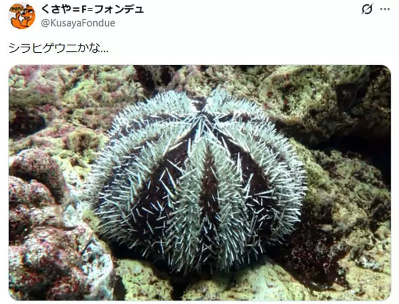 我的世界基岩版【】下载