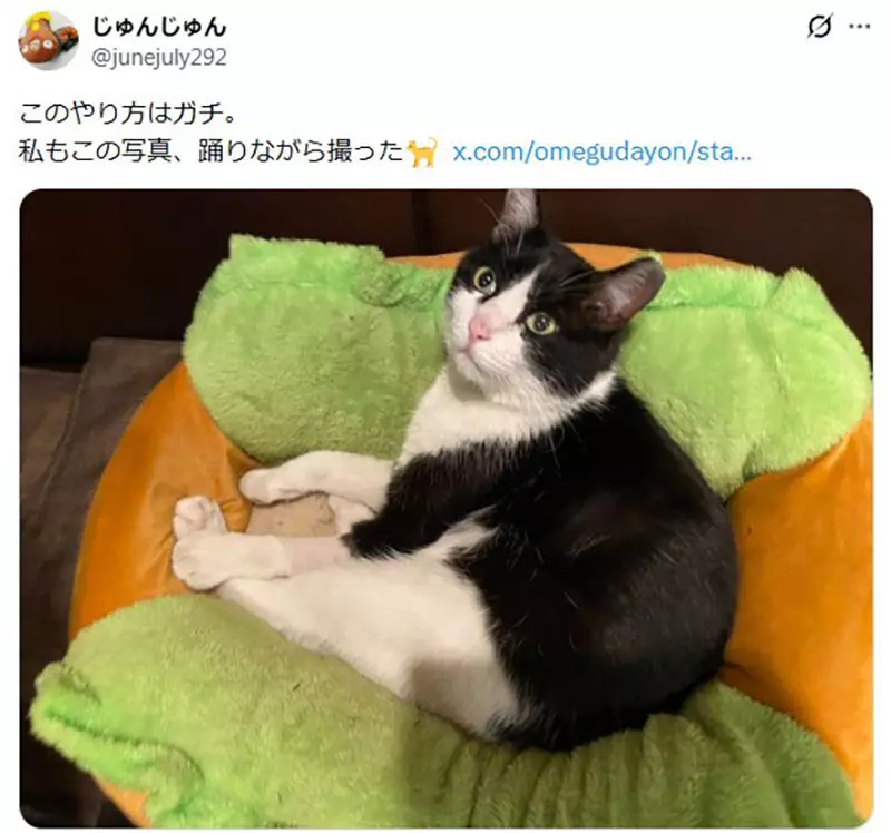 我的世界基岩版【】下载