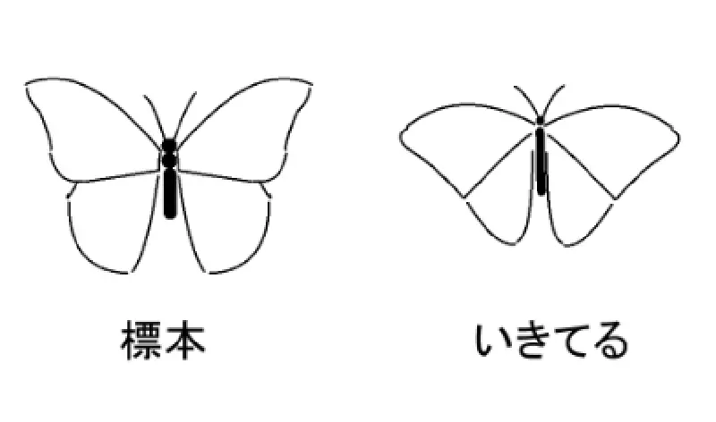 我的世界基岩版【】下载