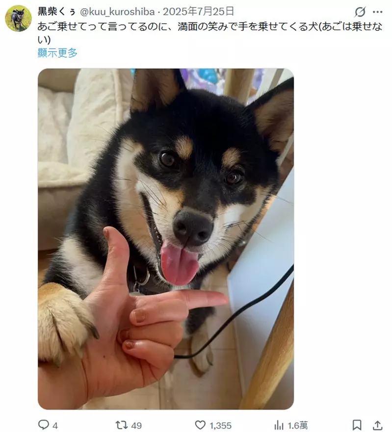 我的世界基岩版【】下载