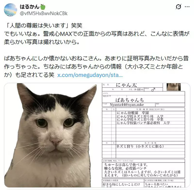 我的世界基岩版【】下载