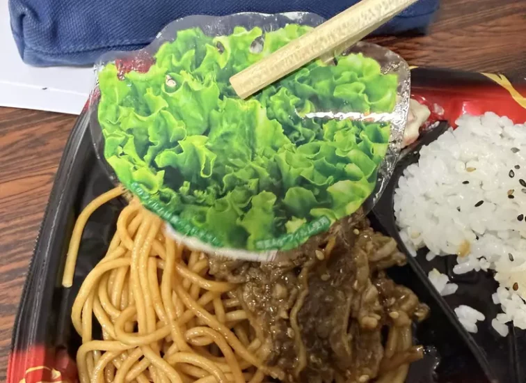 笑死！日本便当为了省钱“把塑料做成真菜”，食客一口咬下去当场怀疑人生！ - 奇趣星球报 - 奇趣星球报
