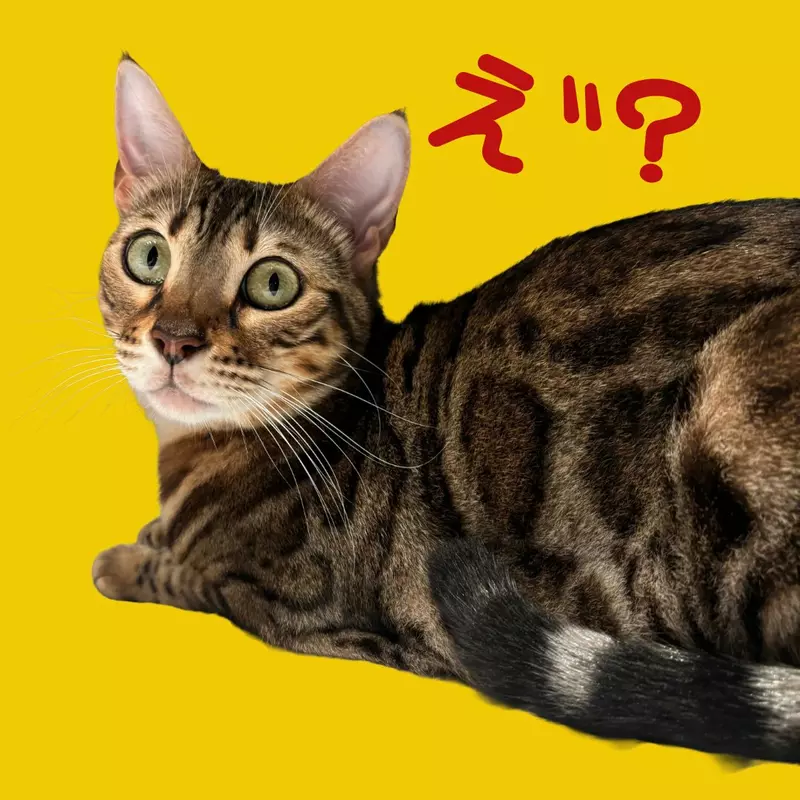 我的世界基岩版【】下载 我的世界基岩版【】下载