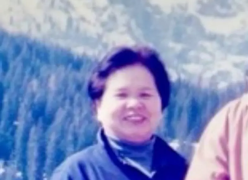 我的世界基岩版【】下载