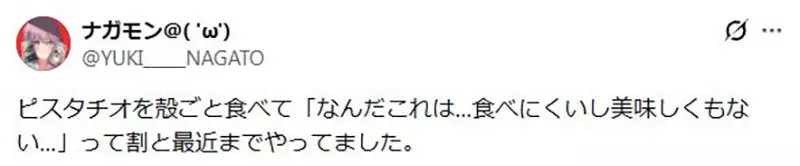 我的世界基岩版【】下载