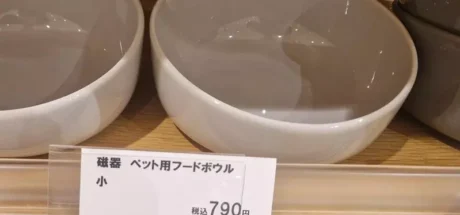 日本网友热议“为了颜值是否可以抛弃人类尊严”？拿“宠物碗”吃饭，到底是消费升级还是自我降级！ - 奇趣星球报