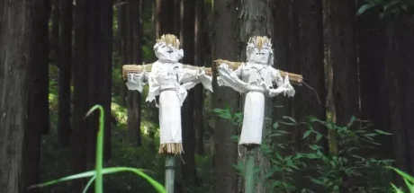 日本路边偶遇“诅咒草人”吓坏路人！不用怕，这其实是守护了当地数百年的神奇“送虫仪式”！ - 奇趣星球报