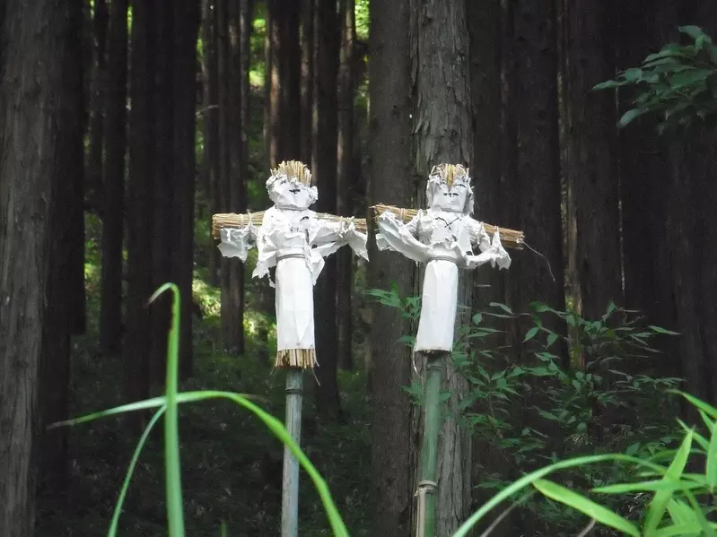 日本路边偶遇“诅咒草人”吓坏路人!不用怕,这其实是守护了当地数百年的神奇“送虫仪式”! 日本路边偶遇“诅咒草人”吓坏路人!不用怕,这其实是守护了当地数百年的神奇“送虫仪式”!