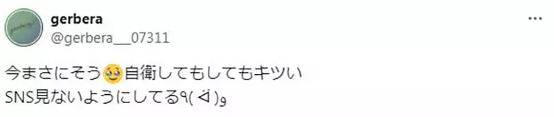 我的世界基岩版【】下载