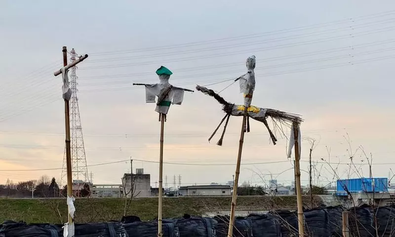日本路边偶遇“诅咒草人”吓坏路人!不用怕,这其实是守护了当地数百年的神奇“送虫仪式”! 日本路边偶遇“诅咒草人”吓坏路人!不用怕,这其实是守护了当地数百年的神奇“送虫仪式”!