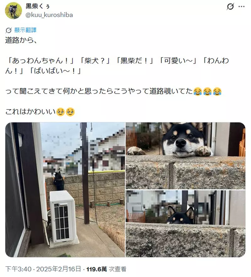 我的世界基岩版【】下载