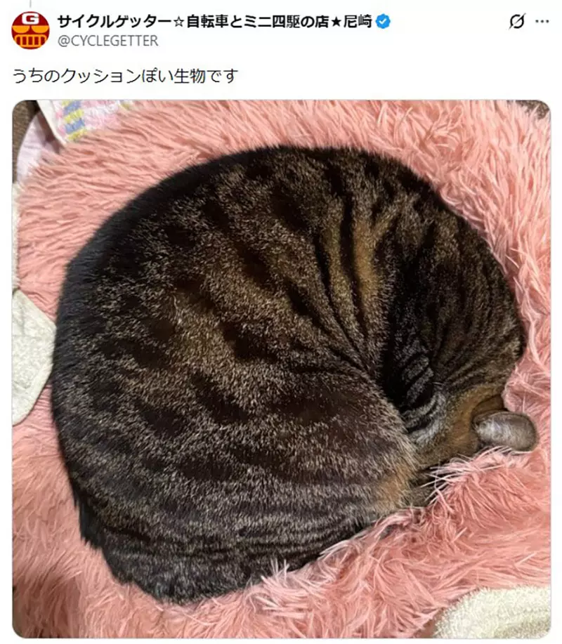 我的世界基岩版【】下载