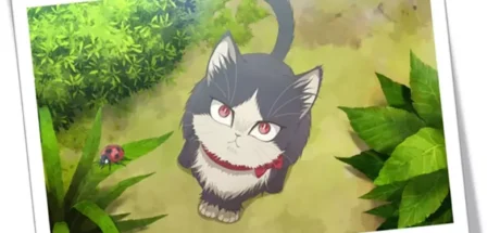 想要猫主子乖乖配合拍出证件照该怎么办？这位日本铲屎官的独门秘籍火了：关键在于不把自己当人看！ - 奇趣星球报