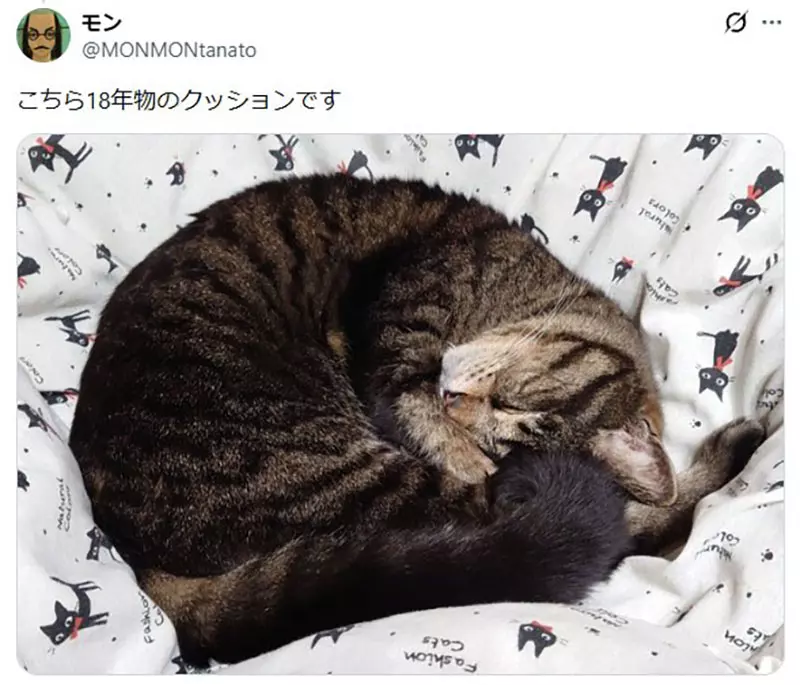 我的世界基岩版【】下载