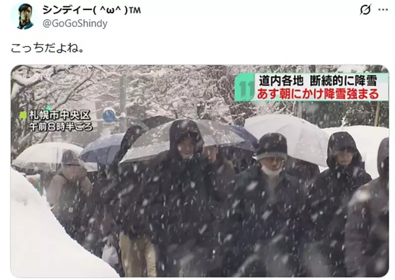 我的世界基岩版【】下载