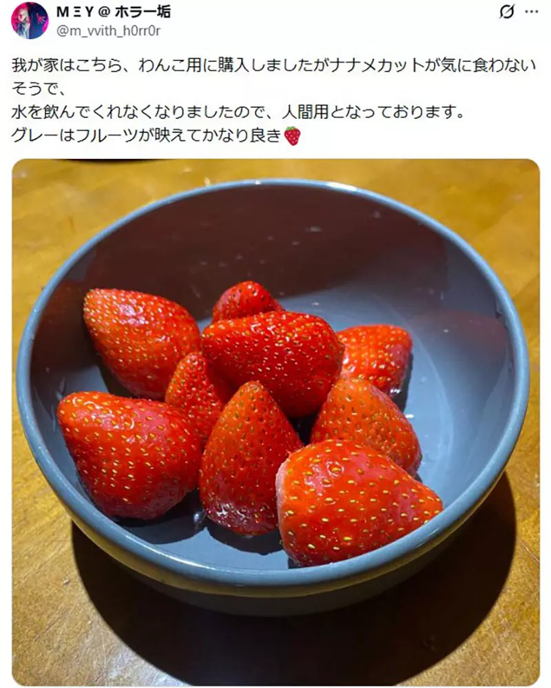 我的世界基岩版【】下载 我的世界基岩版【】下载